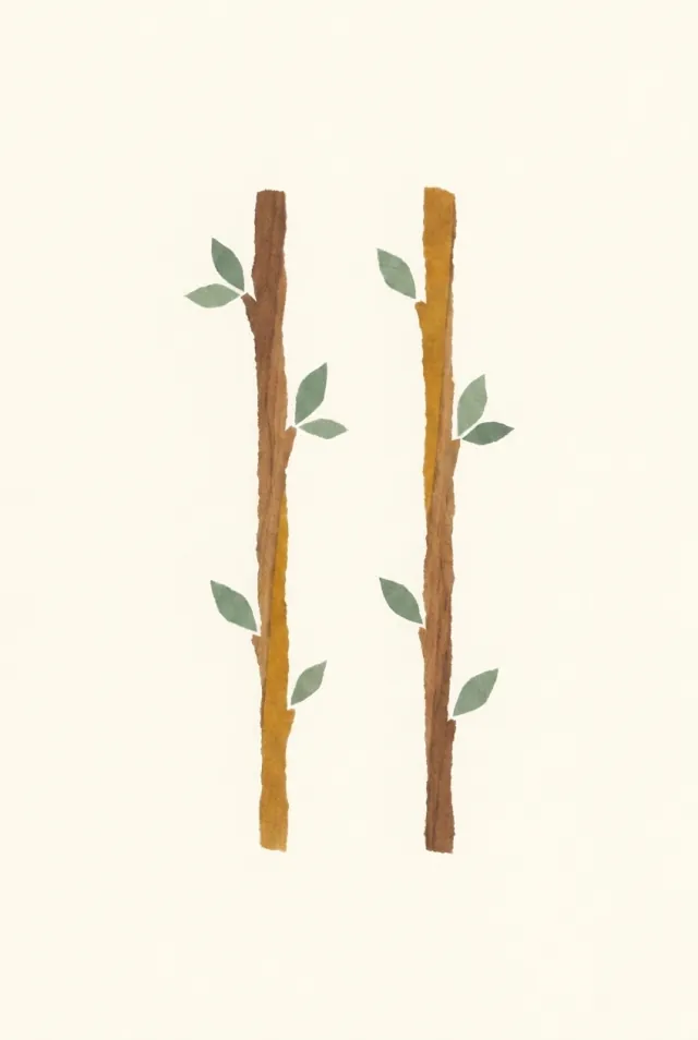 완드의 2 카드 그림