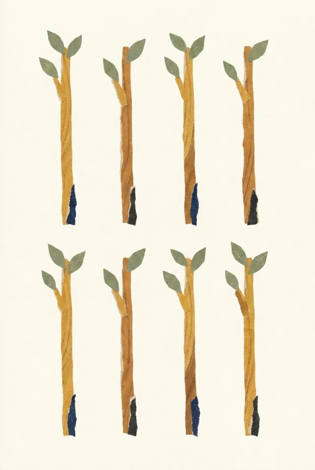 완드의 8 카드 그림